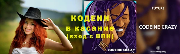 индика Наволоки