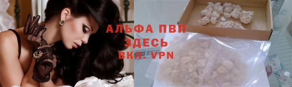 индика Наволоки