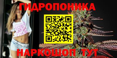 стафф Бийск