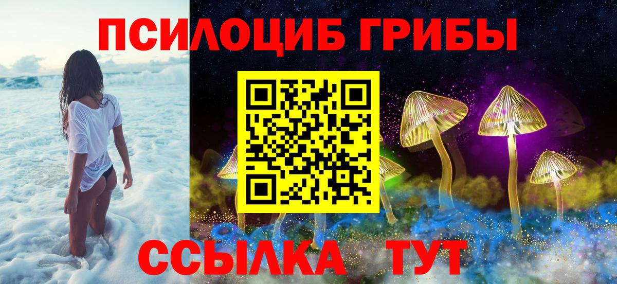 Псилоцибиновые грибы MAGIC MUSHROOMS Железноводск