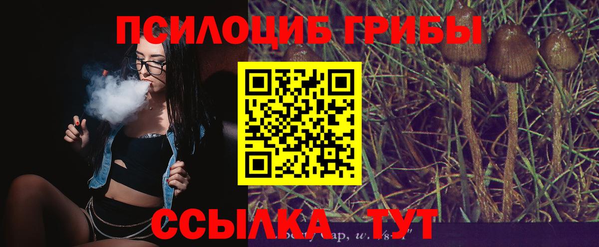 Псилоцибиновые грибы мицелий  Вход с VPN  Железноводск 